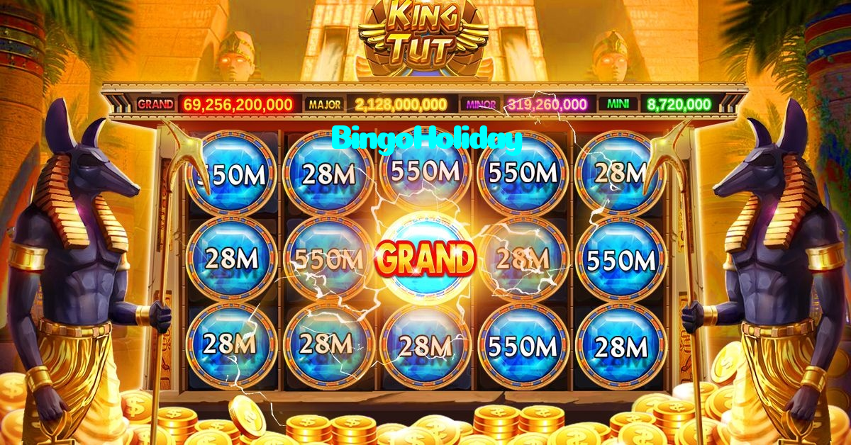 available types of BingoHoliday bet including pre-match live express and system bets