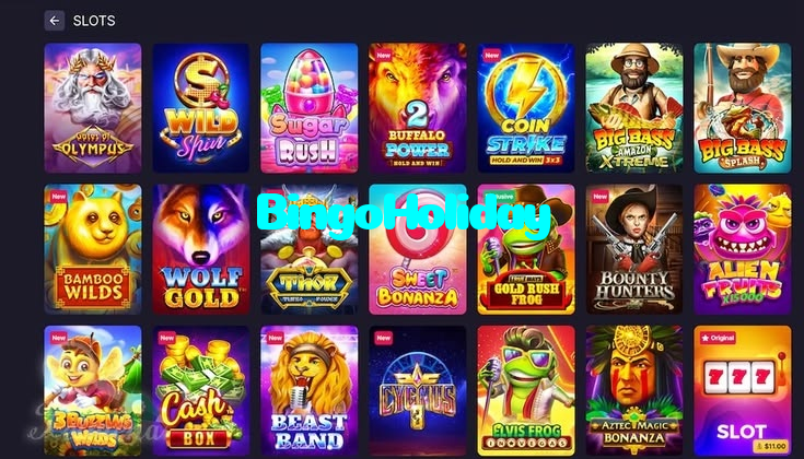 making first deposit on BingoHoliday website using local payment methods in Pakistan